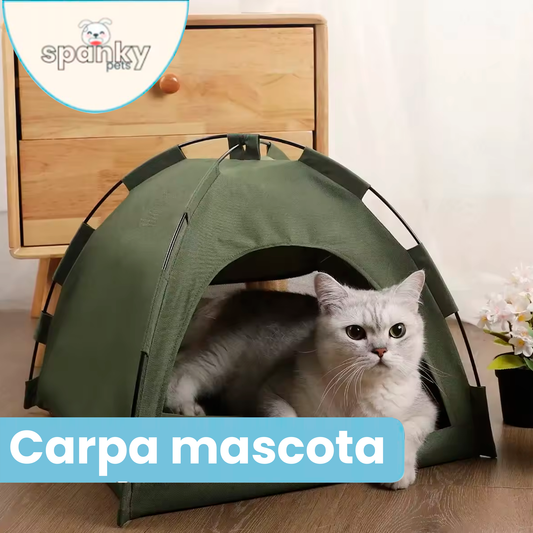 Carpa para Mascota